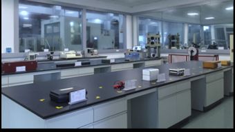 保一集團檢測中心順利通過CNAS現場評審，助力飼料添加劑生產質量提升